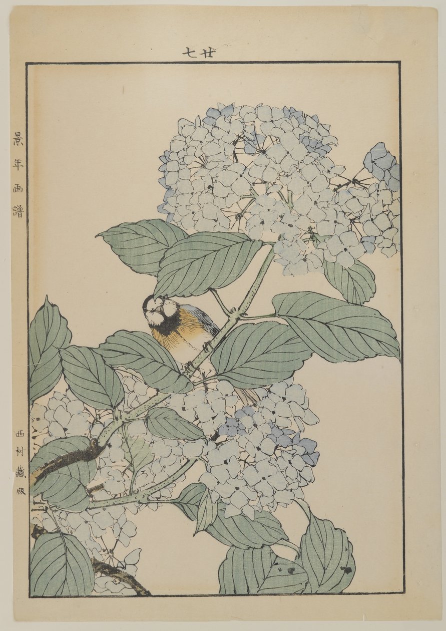 Vogel mit Hortensie, Meiji-Periode, ca. 1868-1912 von Japanese School