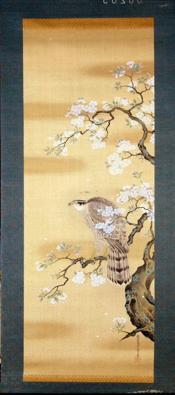 Falke auf einem blühenden Ast der japanischen Kirsche. Seidenmalerei aus dem 18. Jahrhundert aus Japan. Genua. Museo Chiossone. von Japanese School