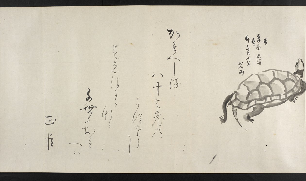 Or. 14872, f.29, Eine Schildkröte, aus Yoshida Seisai von Japanese School