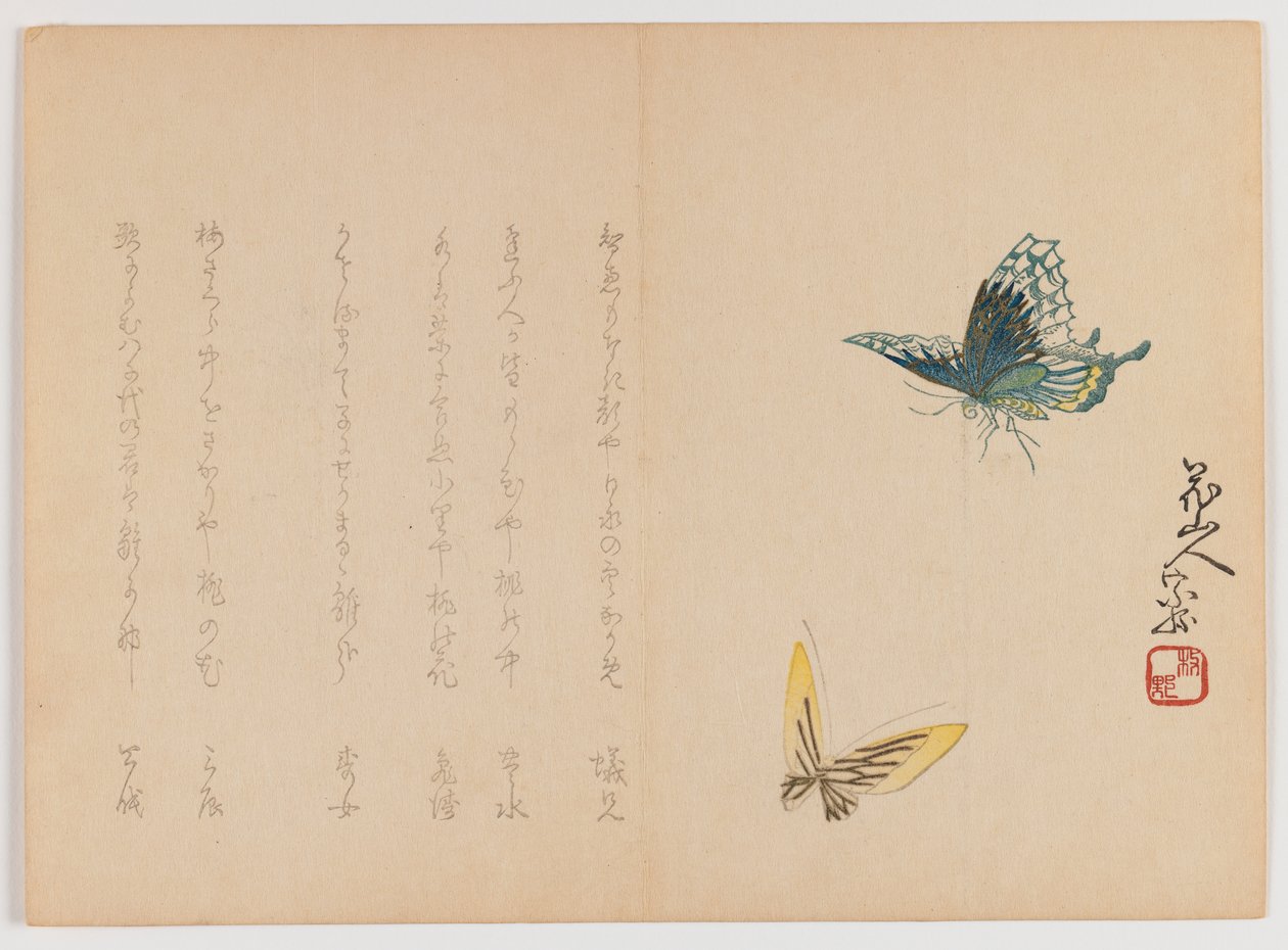 Zwei Schmetterlinge, ca. 1860 von Japanese School