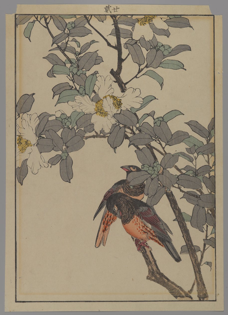 Zwei Vögel mit weißen Blumen, Meiji-Periode, 1892 von Japanese School
