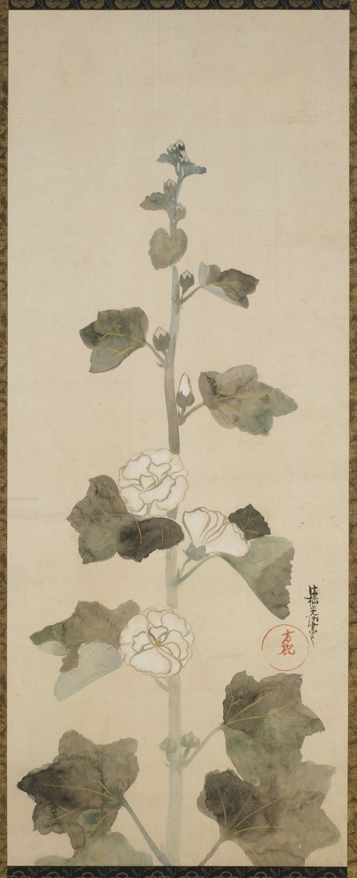 Weiße Stockrosen, Edo-Zeit, 1615-1868 von Japanese School