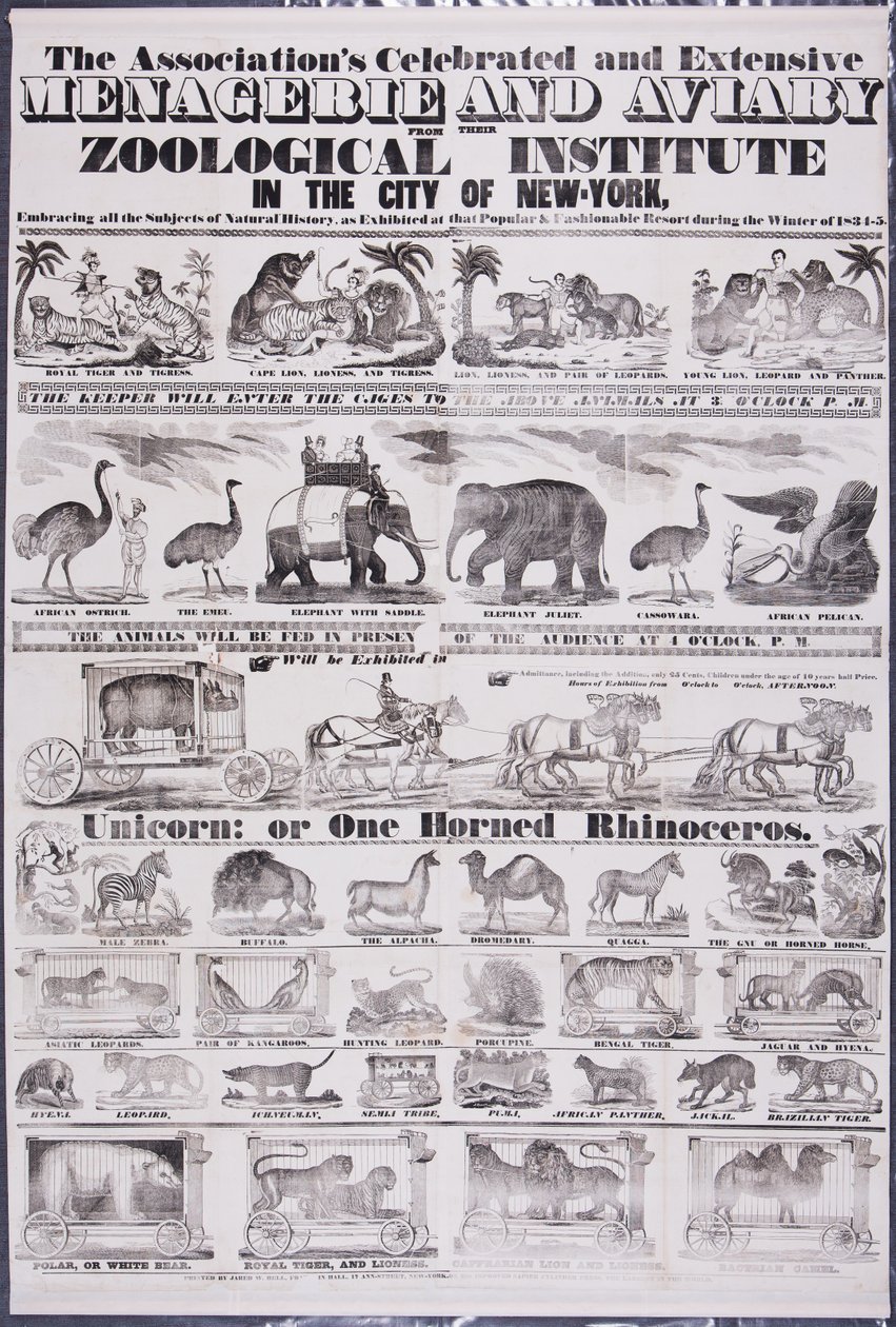 Die berühmte und umfangreiche Menagerie und Voliere der Association aus ihrem Zoologischen Institut in der Stadt New York von Jared W. Bell