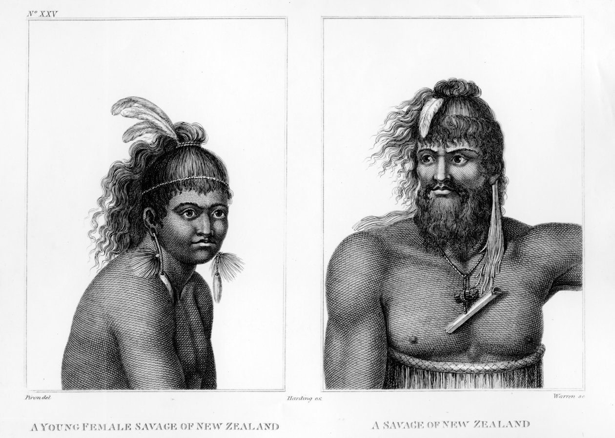 Zwei Wilde aus Neuseeland, Illustration aus Labillardières 