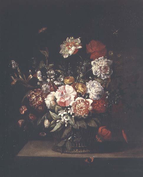 Gemischte Blumen in einem Weidenkorb mit Motten, Libelle und Admiral auf einem Sims von Jean Baptiste (follower of) Monnoyer