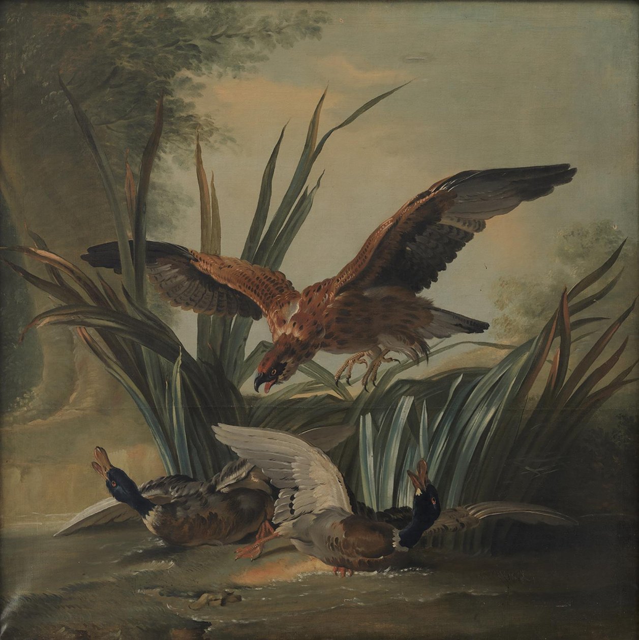 Ein Falke stürzt sich auf ein Paar Enten von Jean-Baptiste Oudry