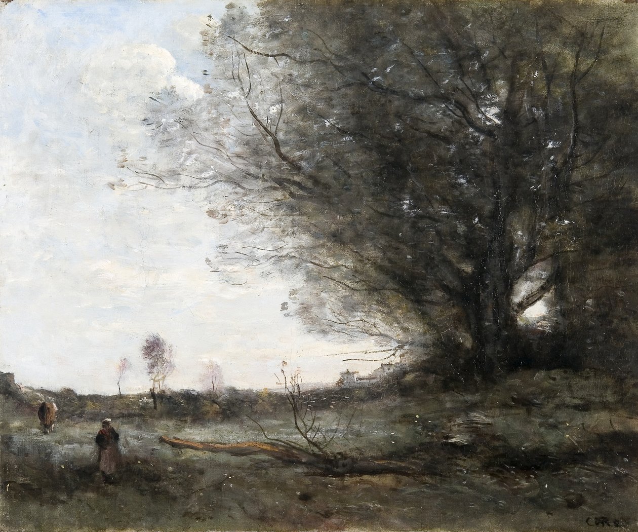 Die Buche von Jean Baptiste Camille Corot