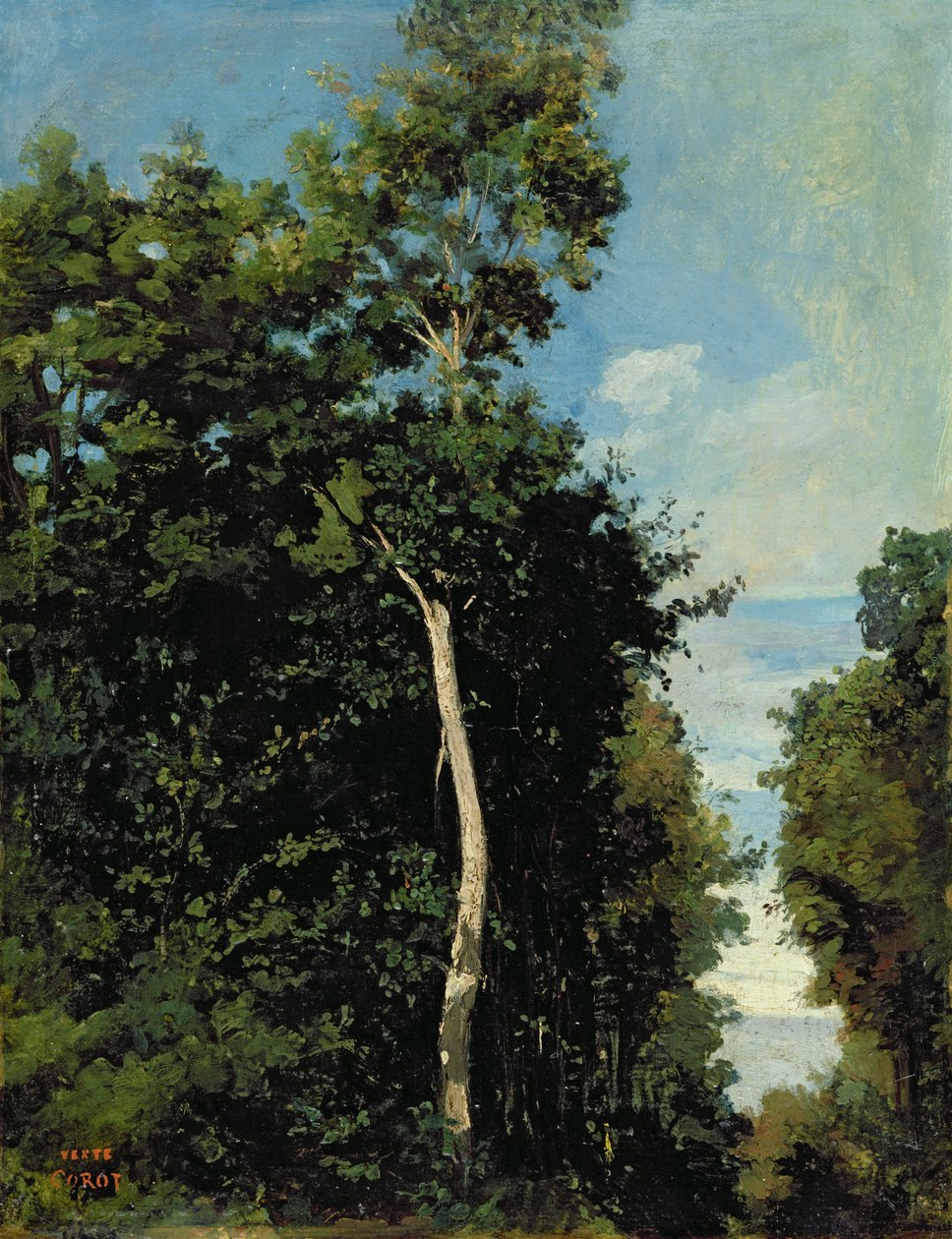 Der Wald auf der Cote de Grace in Honfleur von Jean Baptiste Camille Corot