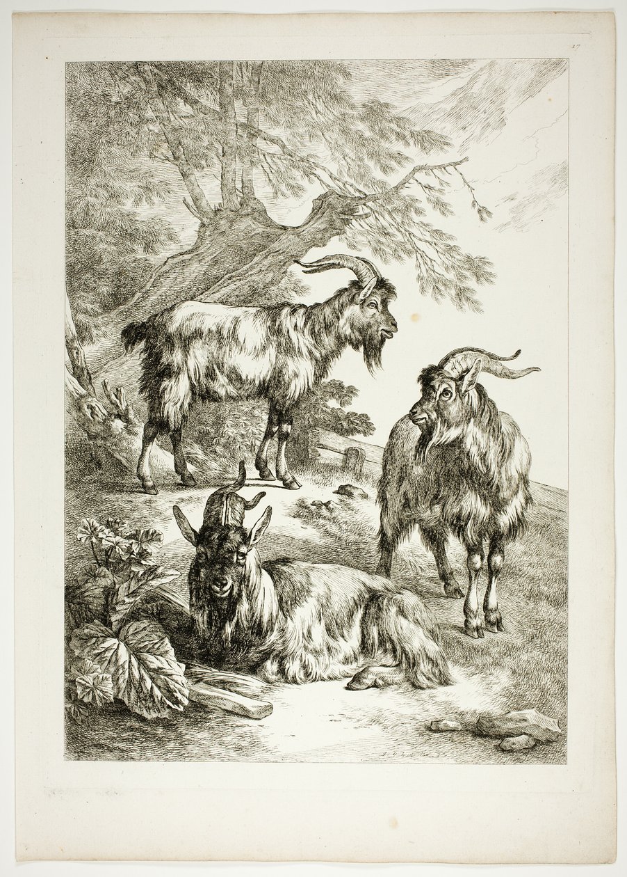 Tafel Siebzehn von 38 aus Oeuvres de J. B. Huet von Jean Baptiste Huet