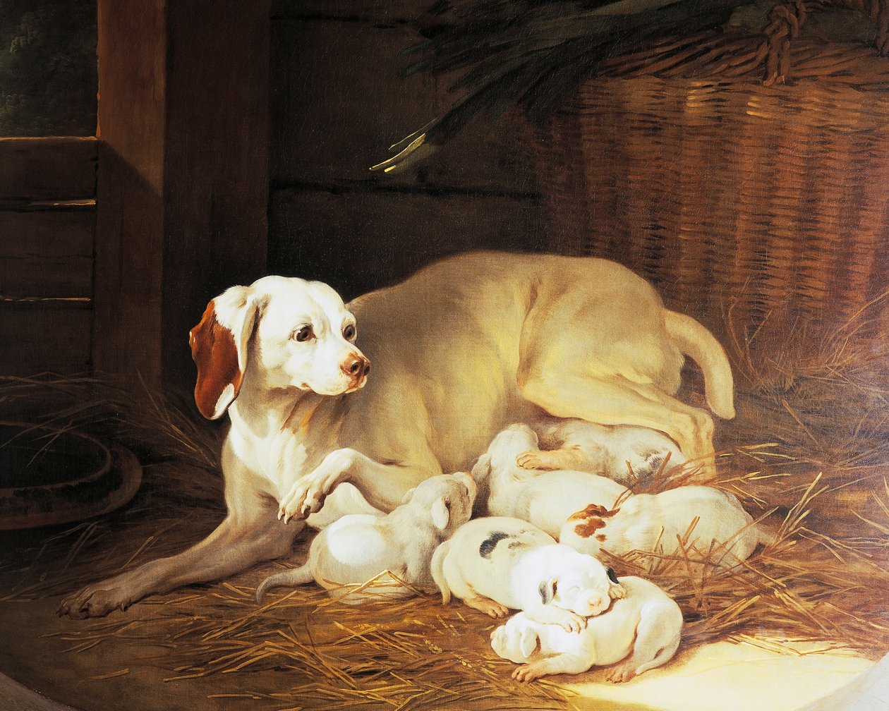 Hündin säugt Welpen, Detail aus Lise et ses petits, von Jean-Baptiste Oudry (1686-1755), Frankreich von Jean Baptiste Oudry
