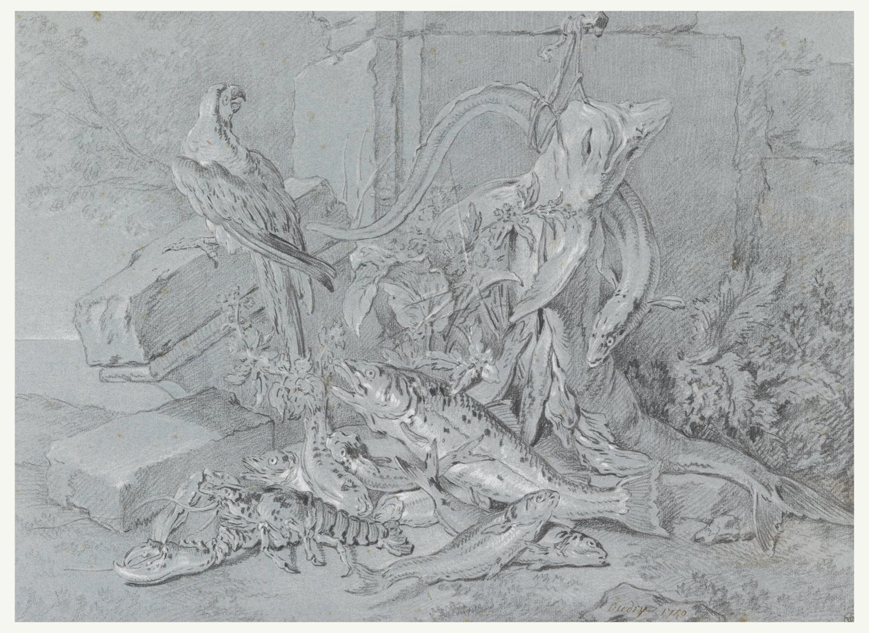 Zeichnung, Stillleben mit Fisch und Papagei, 1740 von Jean Baptiste Oudry