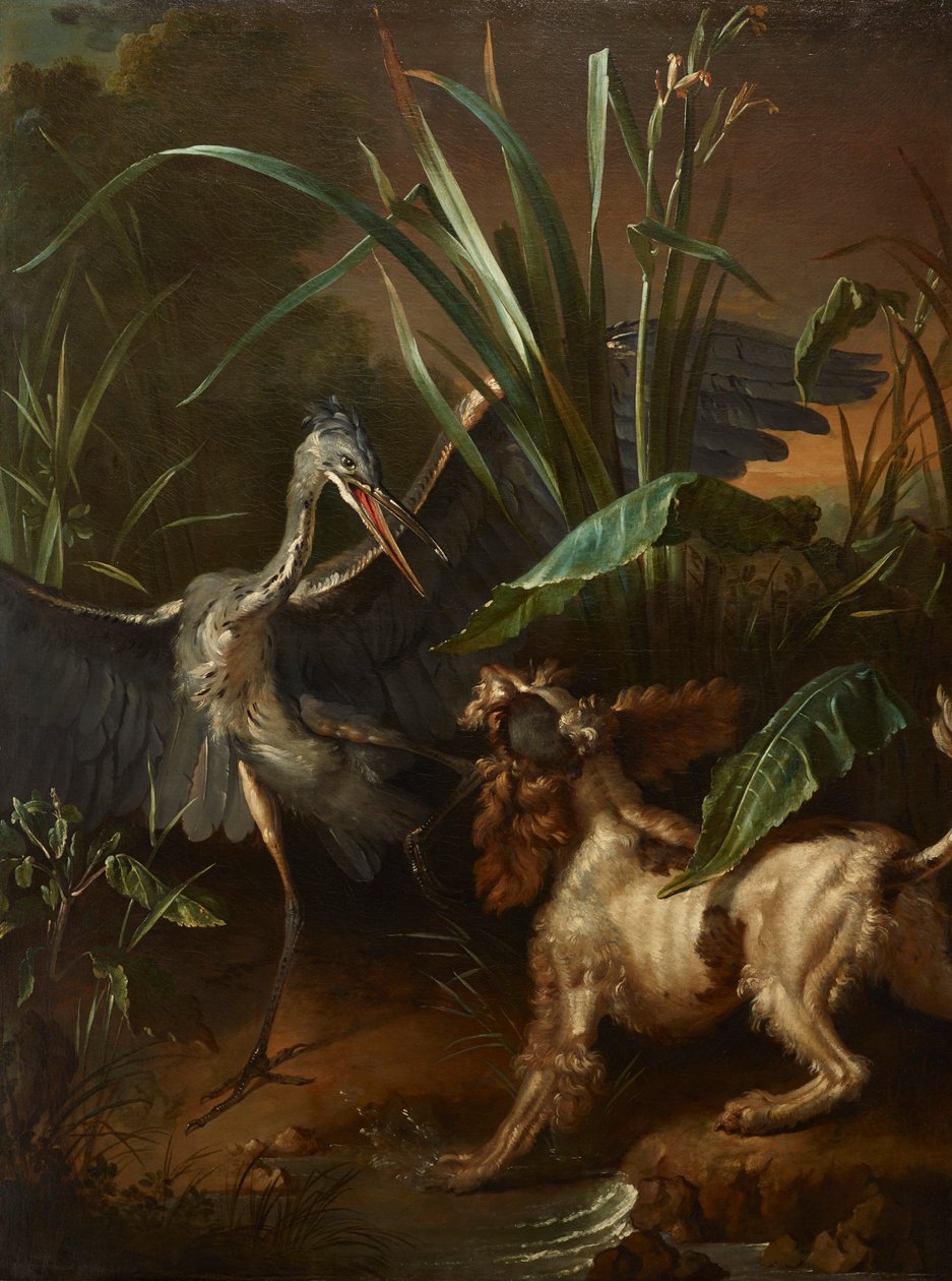 Wasserhund konfrontiert einen Reiher von Jean-Baptiste Oudry