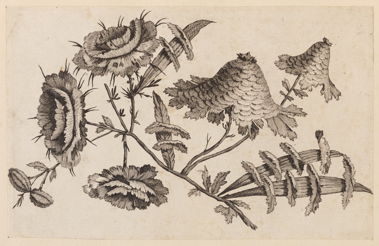Blumenzweig, aus "Recueil de Fleurs Chinois" von Jean Baptiste Pillement