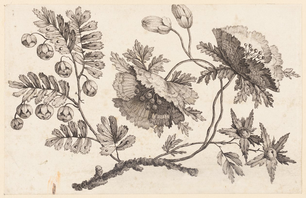 Blumenzweig, aus "Recueil de Fleurs Chinois" von Jean Baptiste Pillement