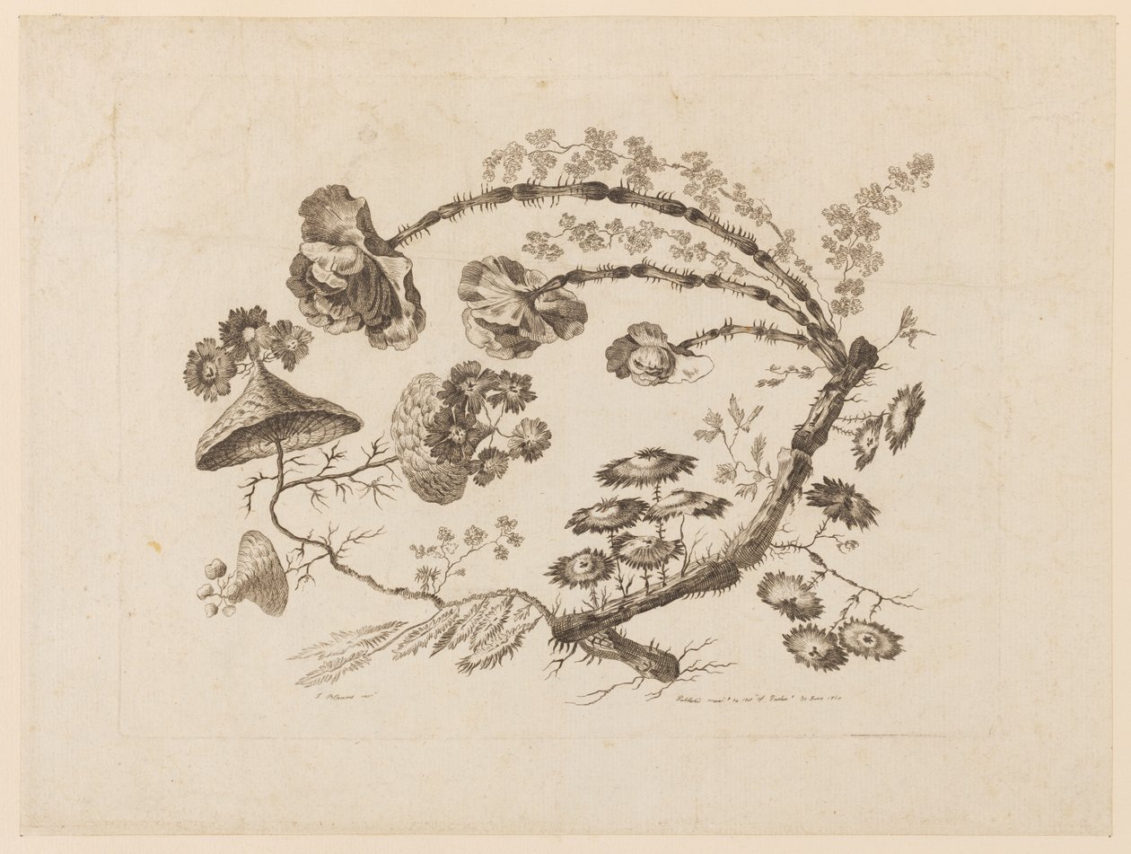 Blumenzweige, aus "Recueil de Differentes Fleurs de Fantaisie Dans le Goût Chinois" von Jean Baptiste Pillement