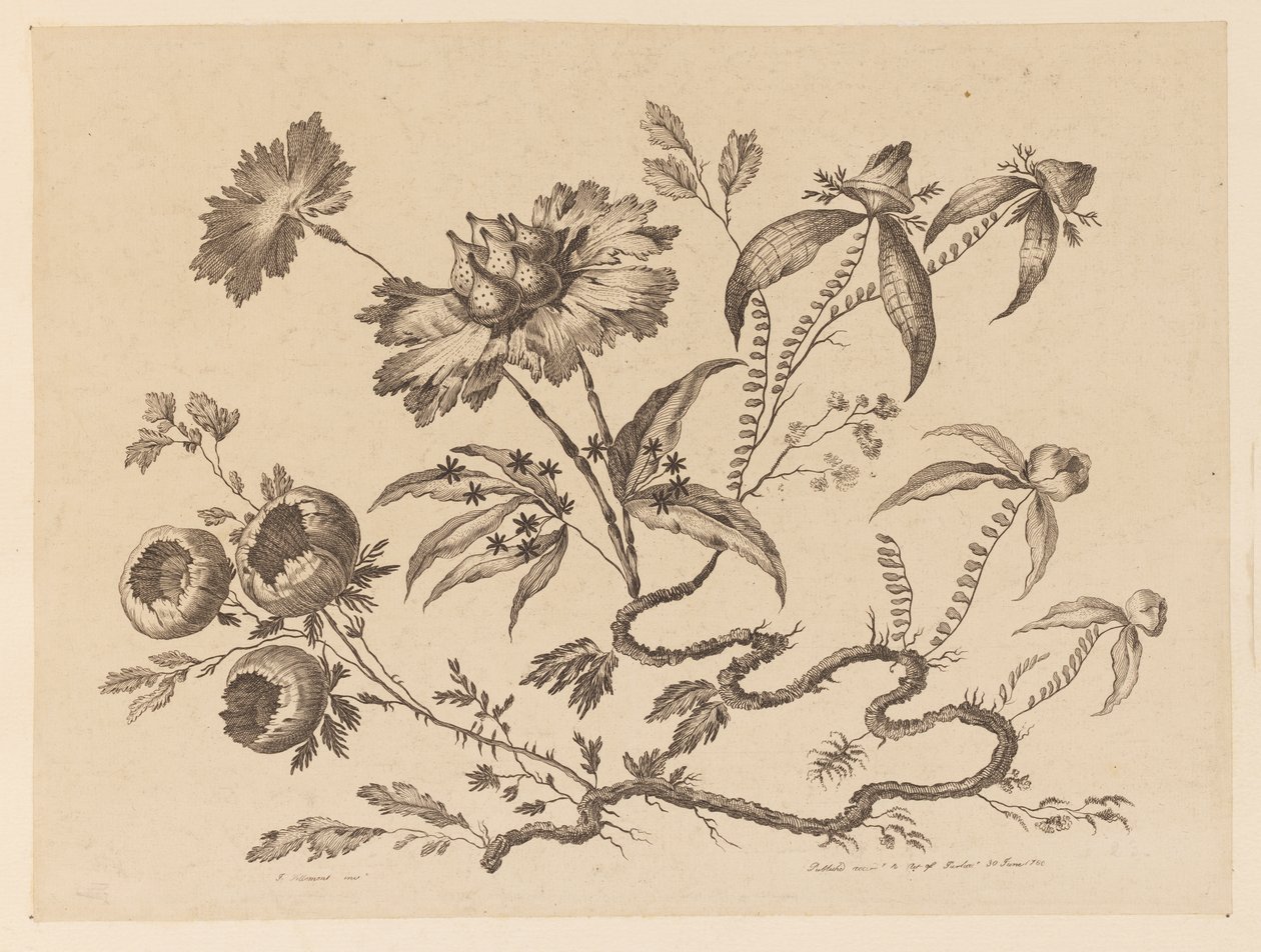 Blumenzweige, aus "Sammlung verschiedener Fantasieblumen im chinesischen Stil" von Jean Baptiste Pillement
