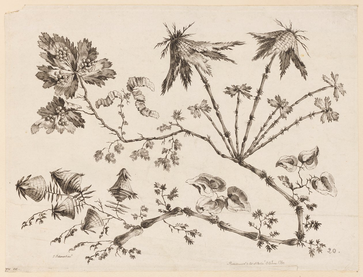 Blumenzweige, aus "Recueil de Differentes Fleurs de Fantaisie Dans le Goût Chinois" von Jean Baptiste Pillement