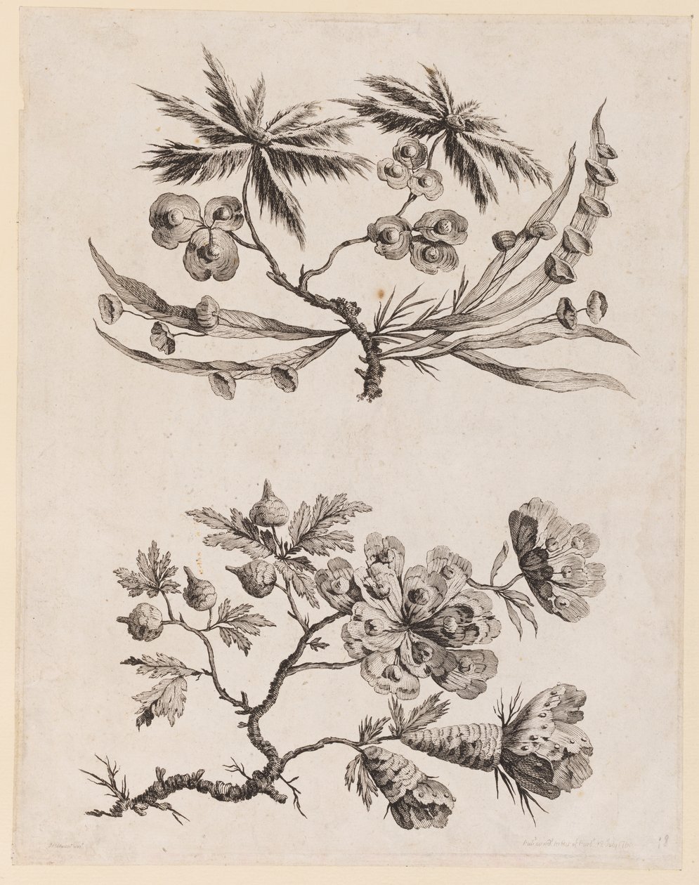 Blumenzweige aus "Recueil de Fleurs Chinois" von Jean Baptiste Pillement