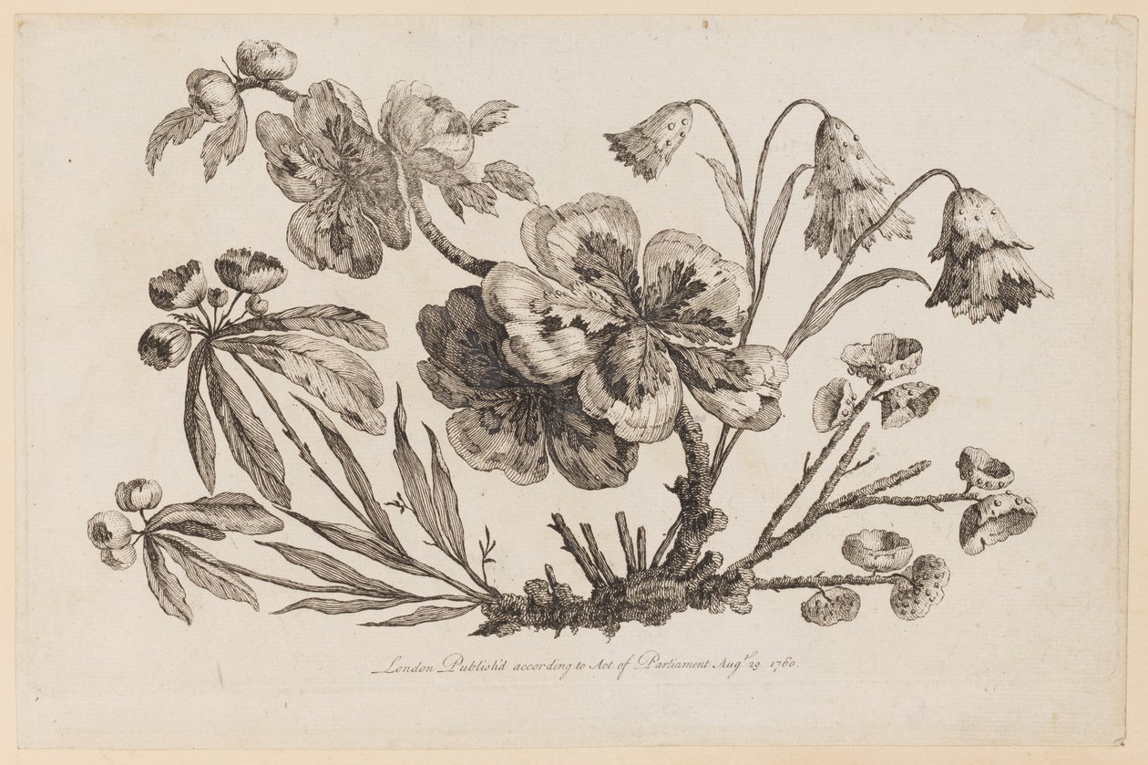 Blumenzweige, aus "Recueil de Fleurs de Chinois" von Jean Baptiste Pillement