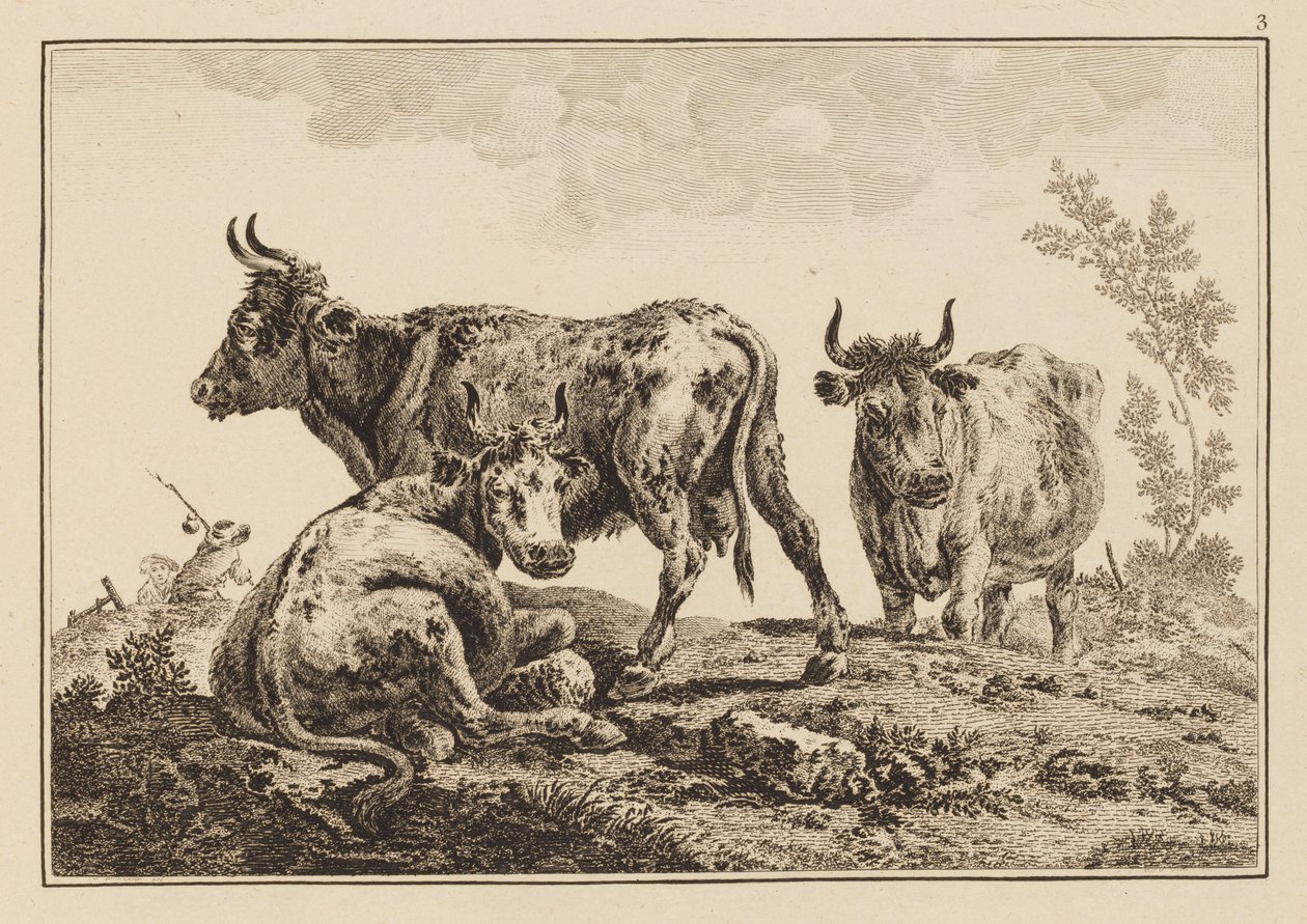 Tafel 3, aus "Cahier de Six Feuilles de Boeufs et Vaches" von Jean Baptiste Pillement