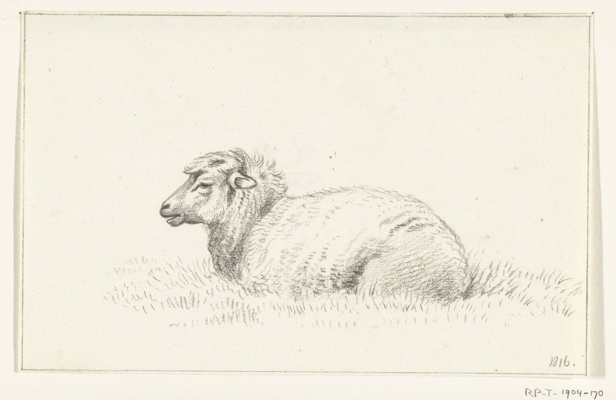 Liegendes Schaf, nach links von Jean Bernard
