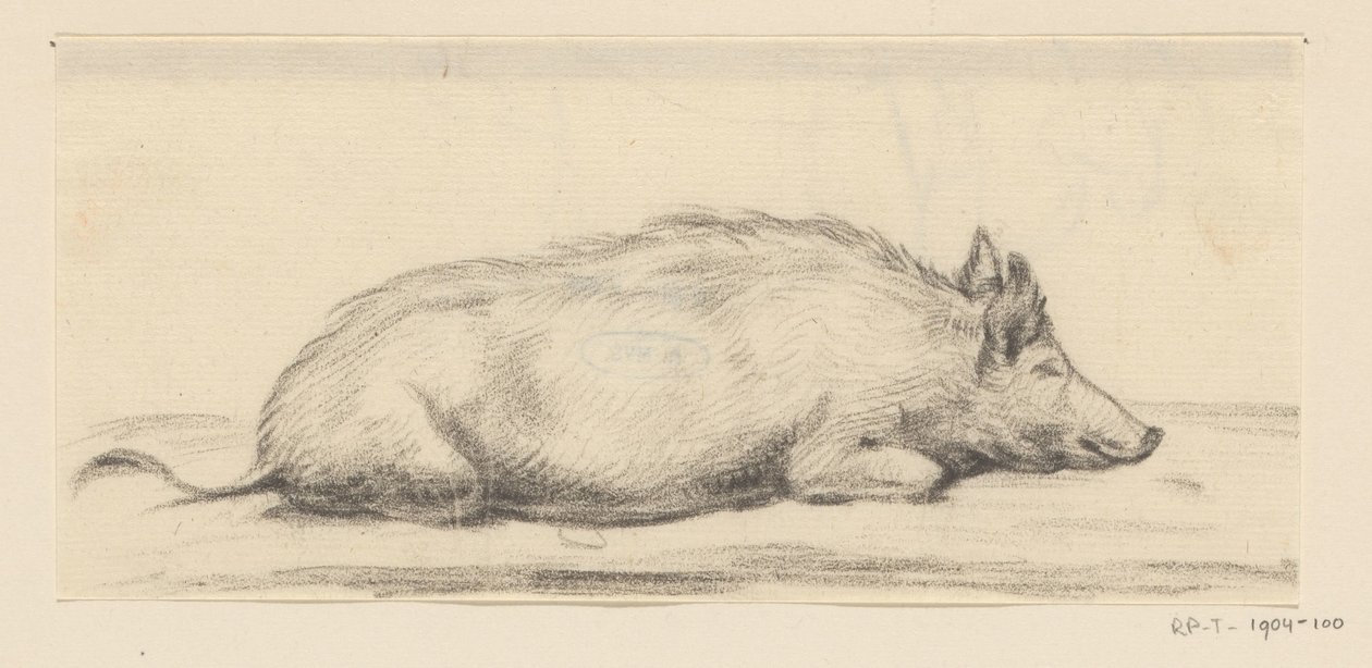 Liegendes Schwein, nach rechts von Jean Bernard