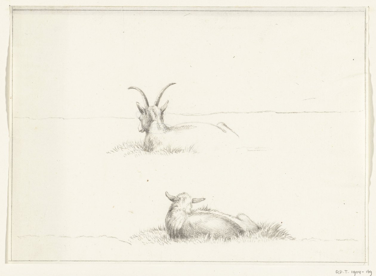 Skizzen von einer liegenden Ziege und einem Schaf, von hinten von Jean Bernard
