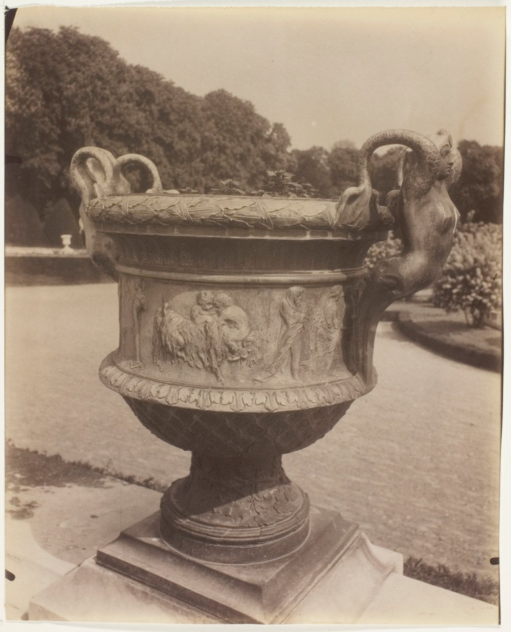 Versailles, Vase von Ballin von Jean Eugène Auguste Atget