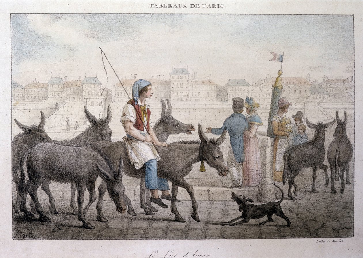 Altes Straßenhandwerk in Paris: Eselsmilchhändler - Gravur von Jean Henry Marlet (1771-1847) in „Les Tableaux de Paris“, Serie von 72 Drucken, Ende des 19. Jahrhunderts von Jean Henri Marlet