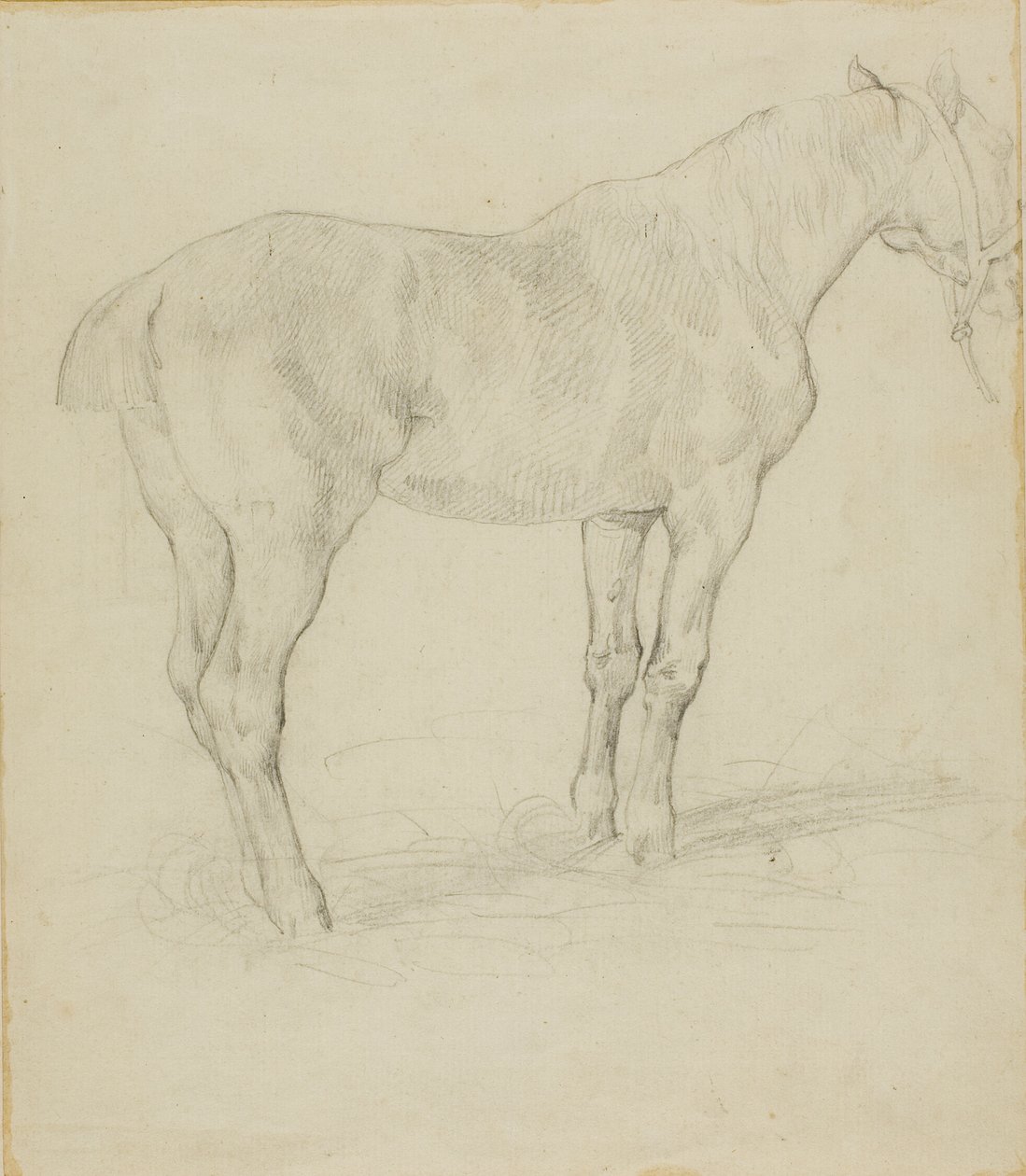 Stehendes Pferd von Jean Louis André Théodore Géricault