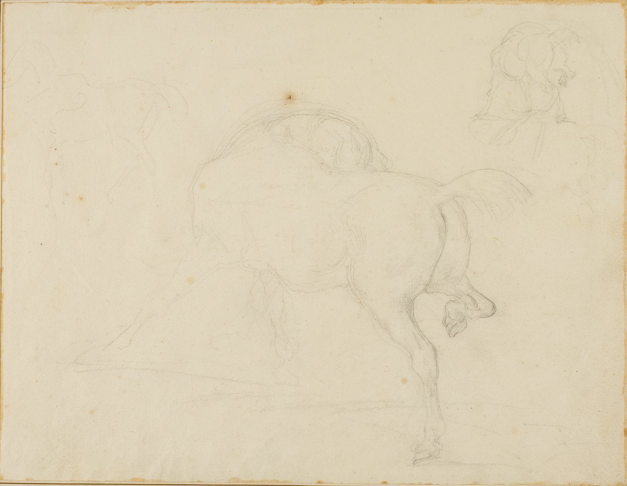 Studie eines Pferdes, das seinen Kopf dreht und sein Hinterbein hebt von Jean Louis André Théodore Géricault