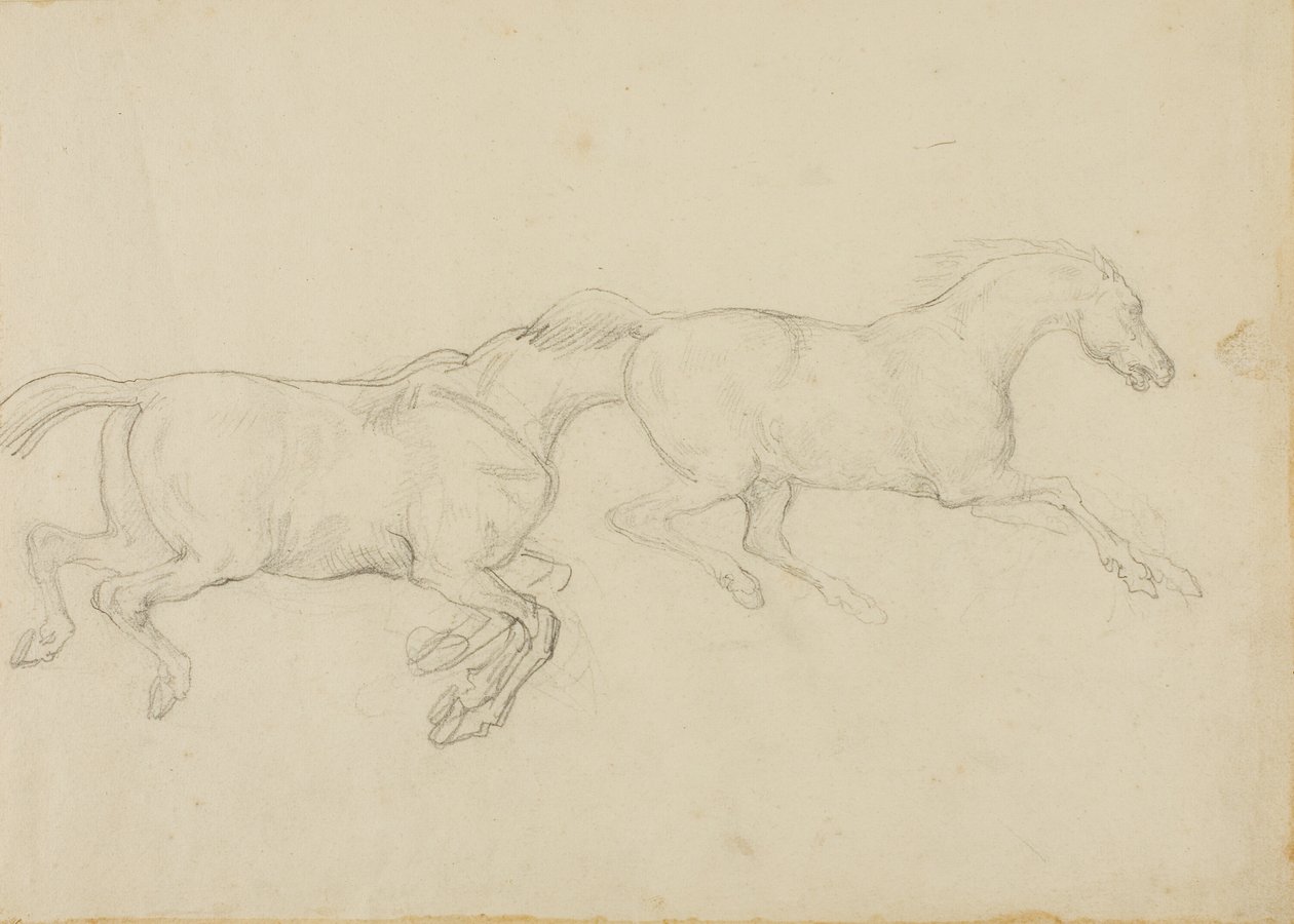 Zwei Pferde galoppieren nach rechts von Jean Louis André Théodore Géricault