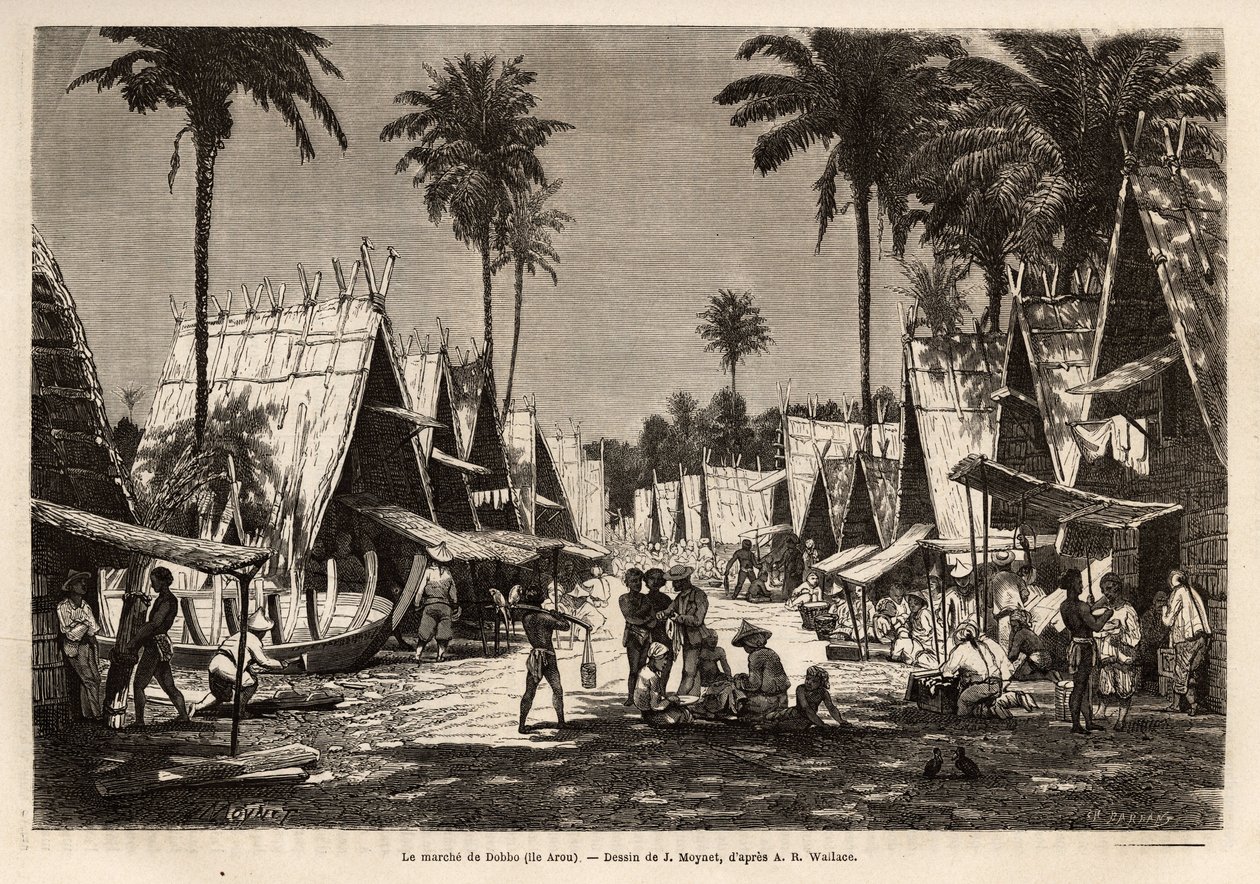 Der Marsch von Dobbo, auf der Arou-Insel, ein Hafen, belebt von vielen Händlern und Schiffbauern, graviert nach der Zeichnung von J. Moynet, zur Illustration der Reise in den malaysischen Archipel 1854-1862, von Alfred Russell Wallace (1823-1913), einem br von Jean Pierre Moynet