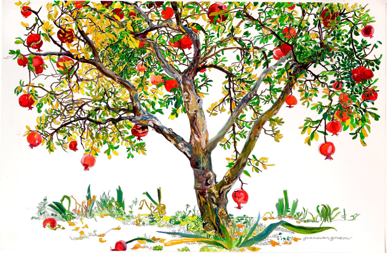 Granatapfelbaum, Monte Sereno von Jean Swan Gordon