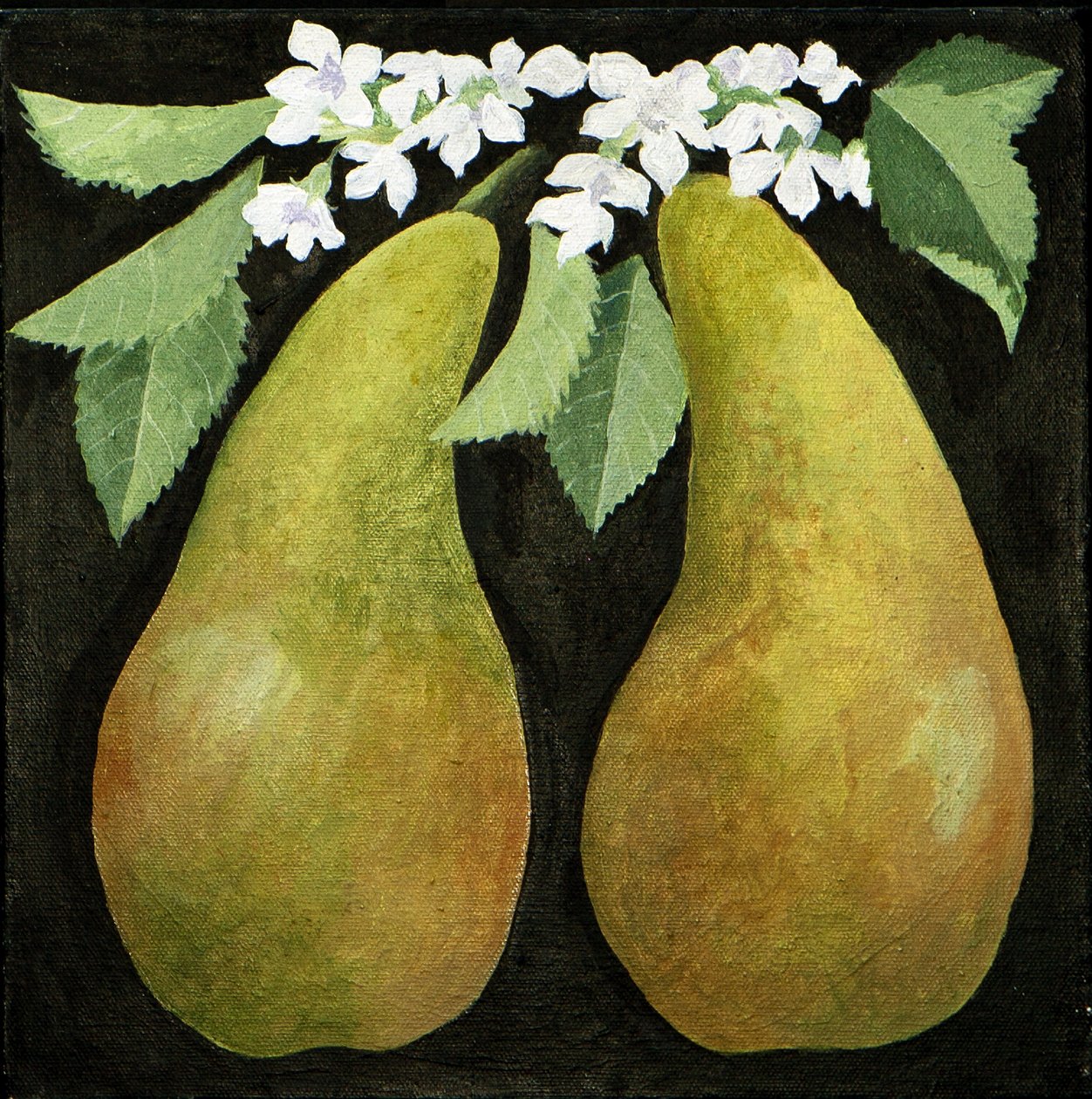 Birnen, 2013 von Jennifer Abbott