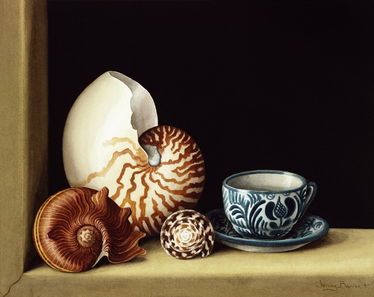 Stillleben mit Nautilus, 1998 von Jenny Barron