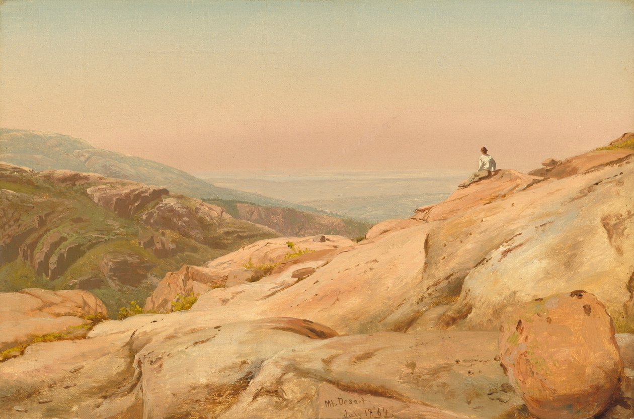Mount Desert Island, Maine von Jervis McEntee