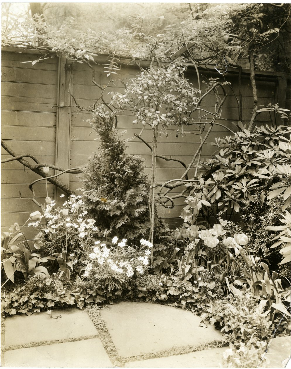 Herr und Frau John Morgan, 39 W 11 St, Greenwich Village, New York, USA, ca. 1939-40 von Jessie Tarbox Beals