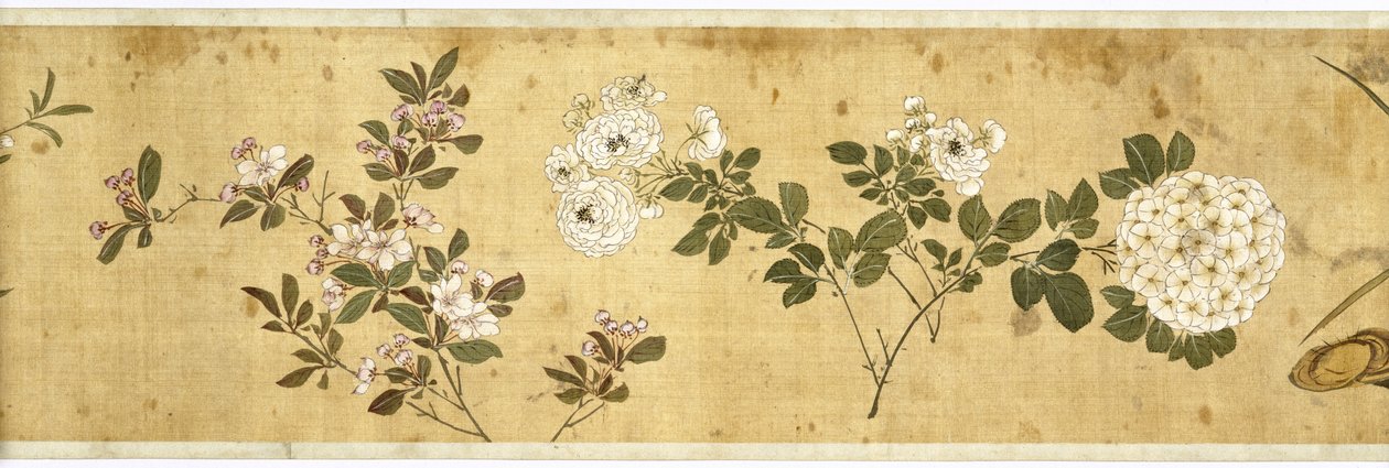 Hundert Blumen, frühes 17. Jahrhundert (Detail) von Jiayan Chen