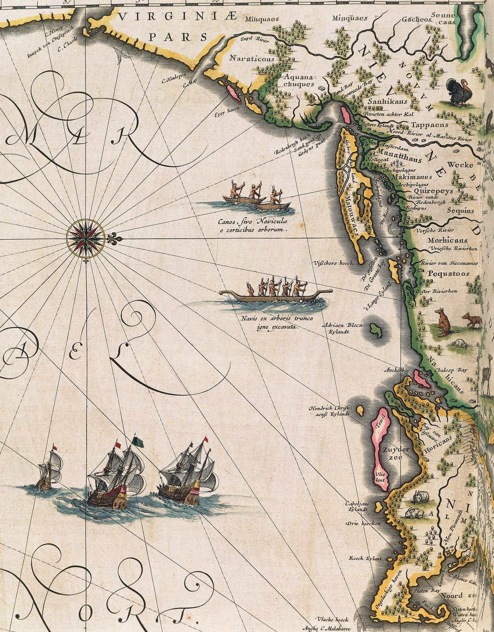 Karte der Küste von Virginia, aus Theatrum Orbis Terrarum von Joan Blaeu von Joan Blaeu