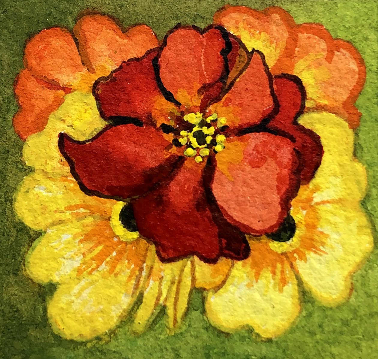 Fünf Primeln, rot, gelb und orange von Joan Thewsey