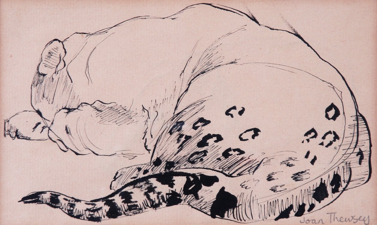 Skizze, Leopard, Londoner Zoo, 2005 von Joan Thewsey