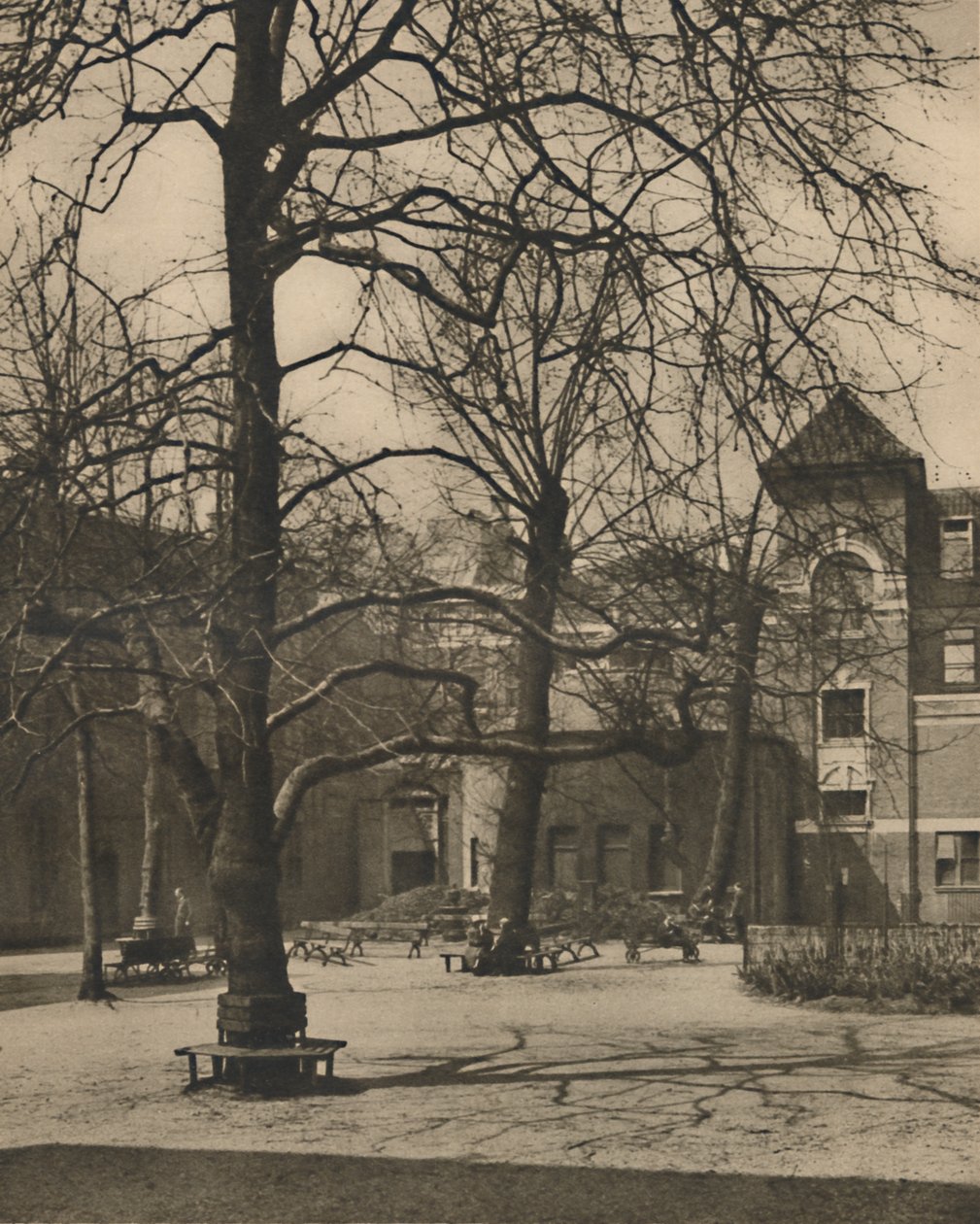 Unter den Ulmen im Hof des Middlesex Hospital, um 1935 von Joel