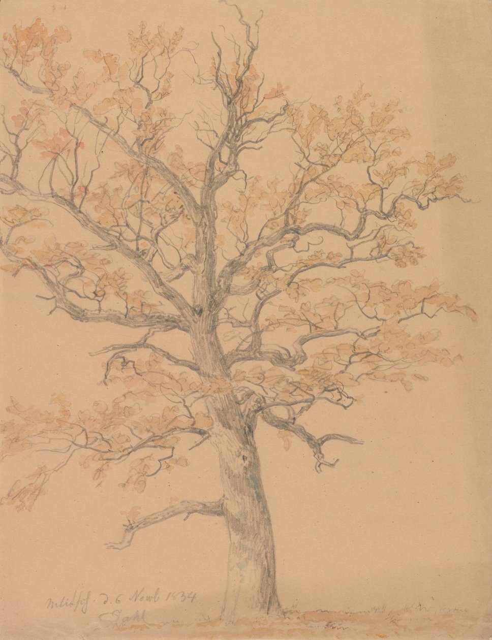 Eichenbaum mit Herbstlaub, Milicz von Johan Christian Dahl