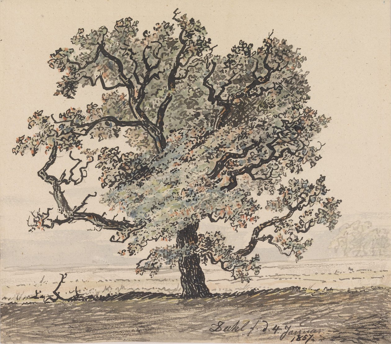 Furutre auf der Ebene von Johan Christian Dahl