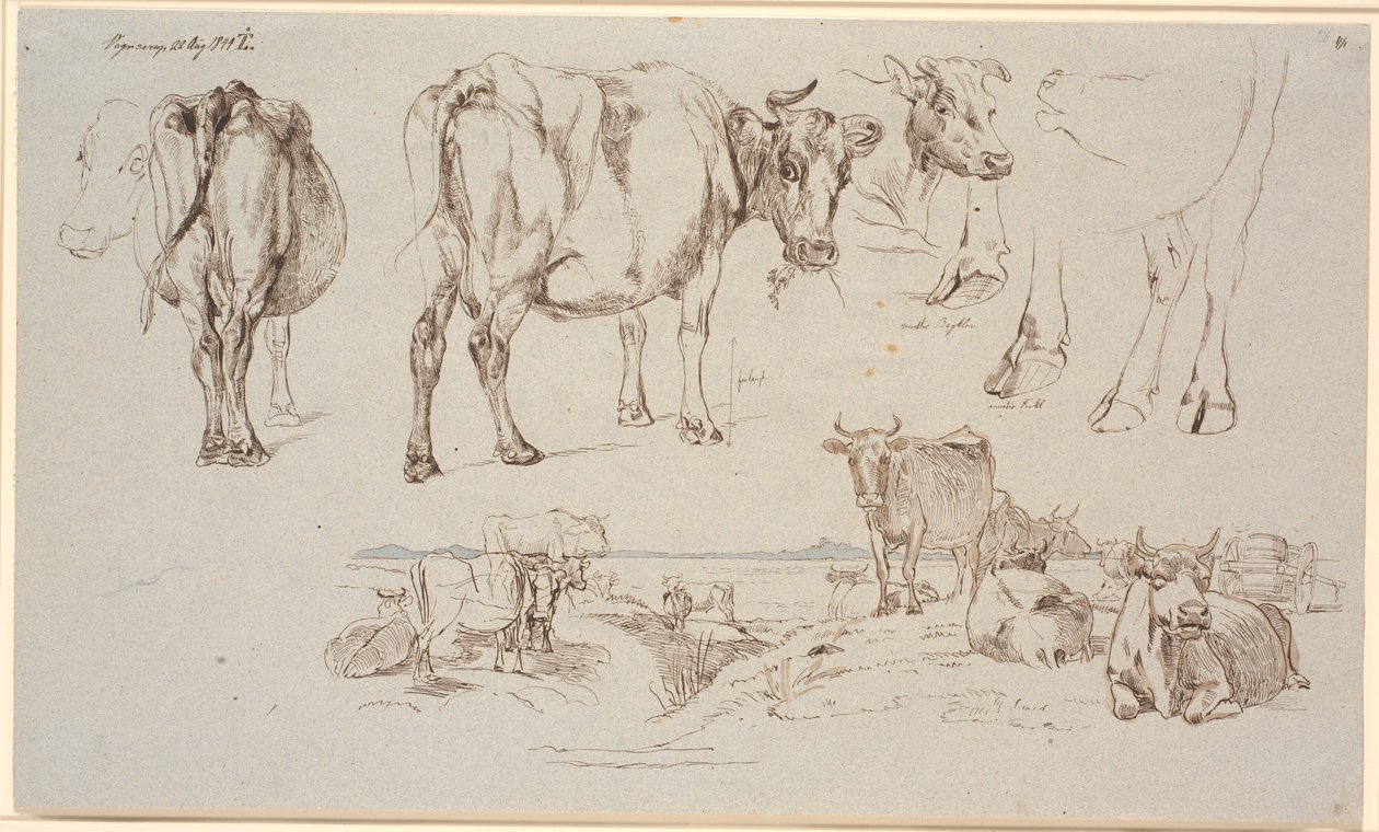 Studienblatt aus Vognserup. Oben Studien von Kühen, unten Landschaft mit stehenden und liegenden Kühen von Johan Thomas Lundbye