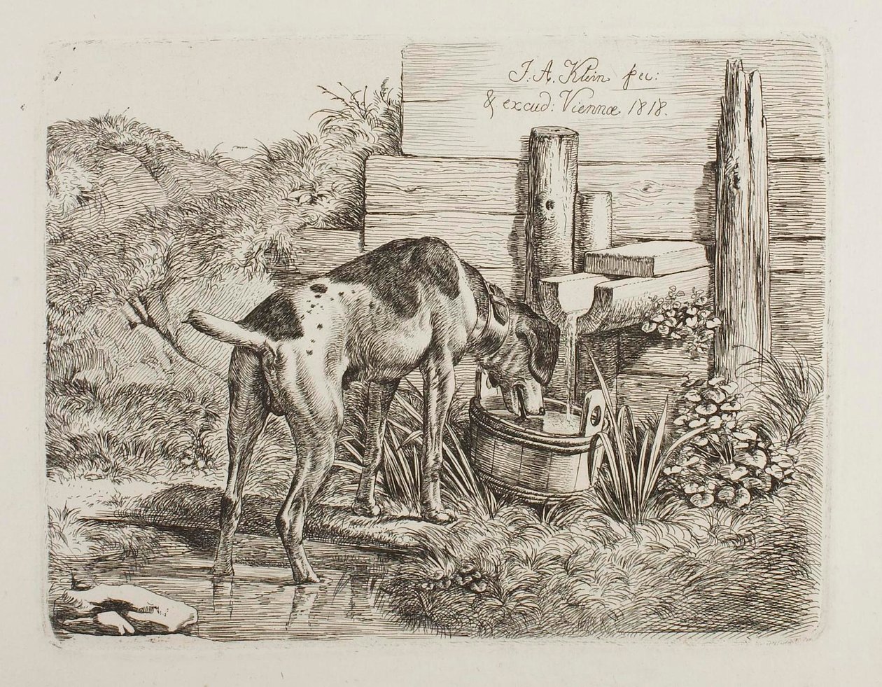 Hund trinkt Wasser von Johann Adam Klein