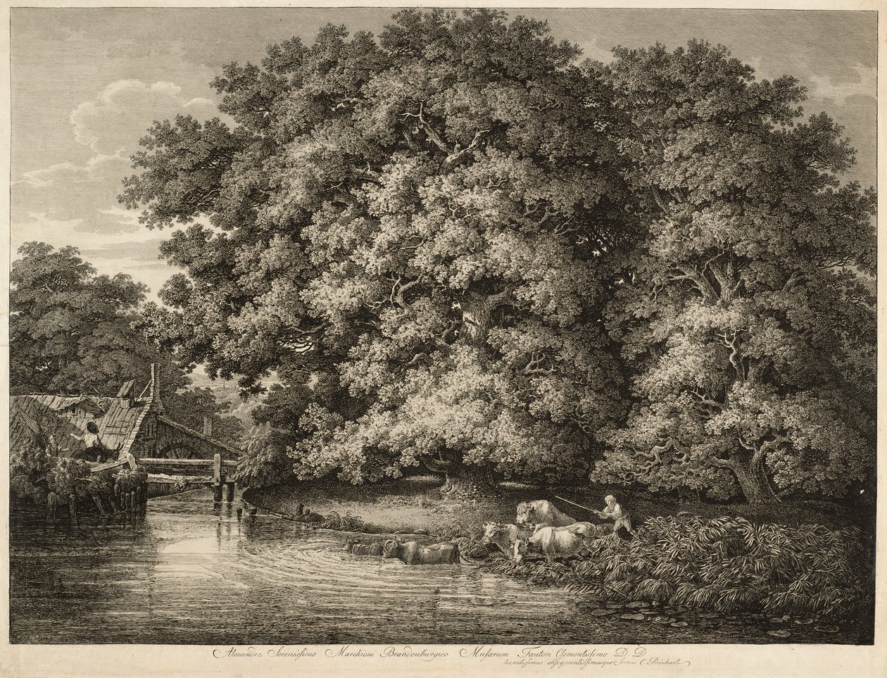 Ein Bauer treibt sein Vieh ins Wasser von Johann Christian Reinhart