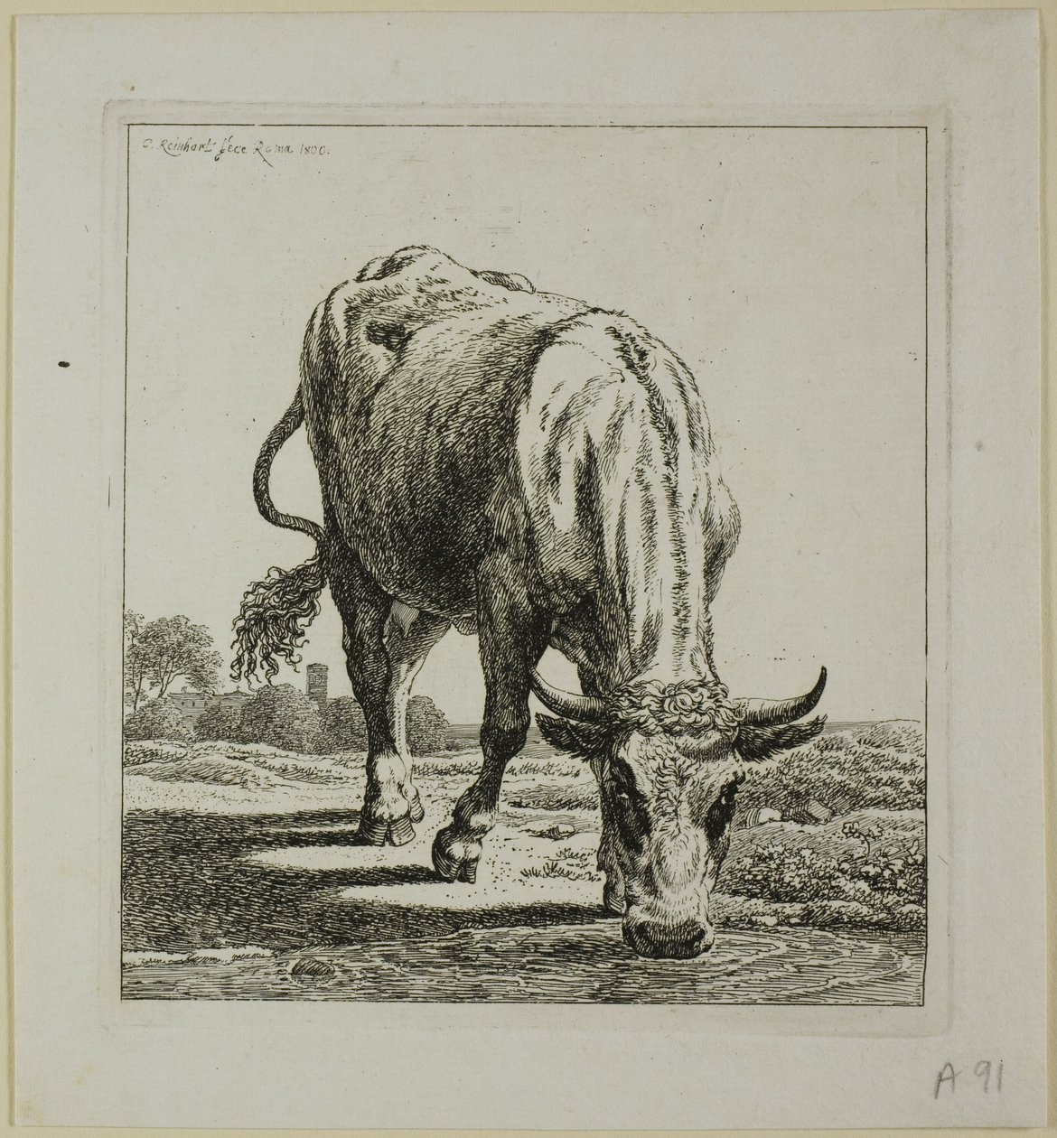Kuh trinkt, aus Die Zweite Thierfolge von Johann Christian Reinhart