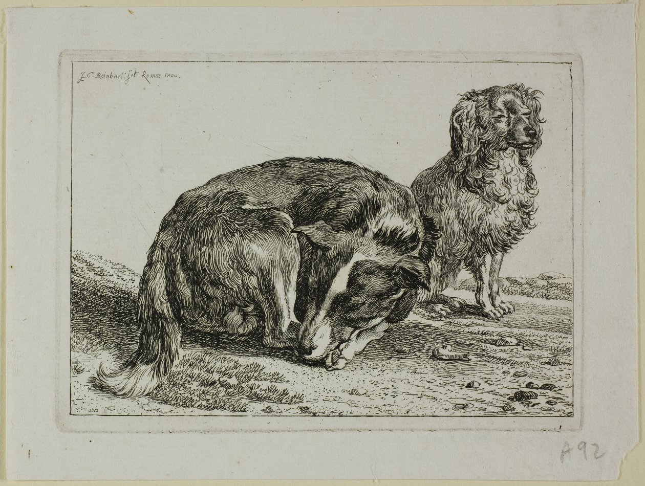 Zwei ruhende Hunde, aus Die Zweite Thierfolge von Johann Christian Reinhart